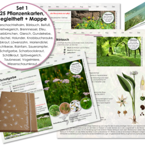 Pflanzenkarten Set 1 mit Mappe